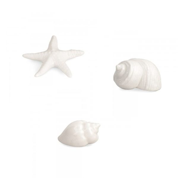 stella-marina-conchiglia-porcellana-bianca-bomboniera-bomboniere-battesimo-comunione-cresima-matrimonio