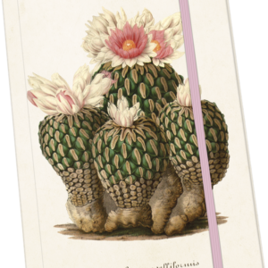 bomboniera-bomboniere-edencreazioni-terni-stroncone-decorazione-decoro-natale-natalizio-natalizia-regali-gift-cactus-agenda-quaderno-book-notebook-fogli-cactus-carta-bianco