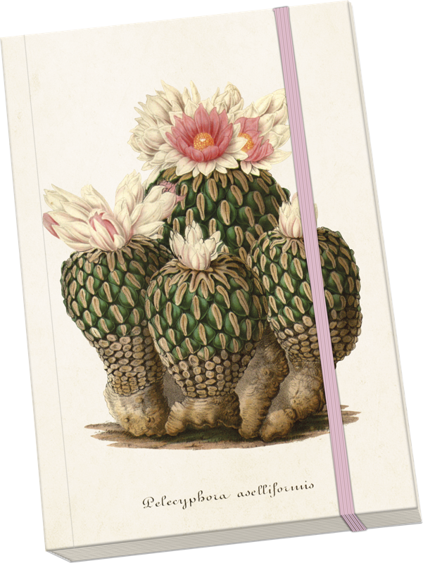 bomboniera-bomboniere-edencreazioni-terni-stroncone-decorazione-decoro-natale-natalizio-natalizia-regali-gift-cactus-agenda-quaderno-book-notebook-fogli-cactus-carta-bianco